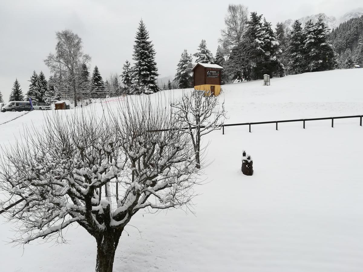 Romantic Chalet-Style Flat With Mountain View Torgon 外观 照片